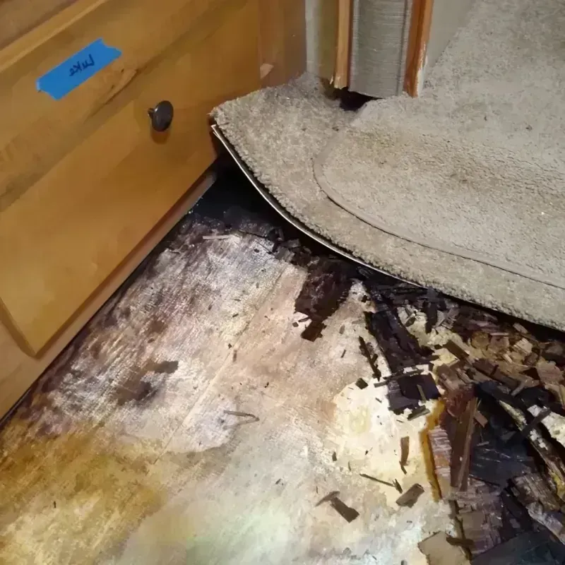 Wood Floor Water Damage in Dassel, MN